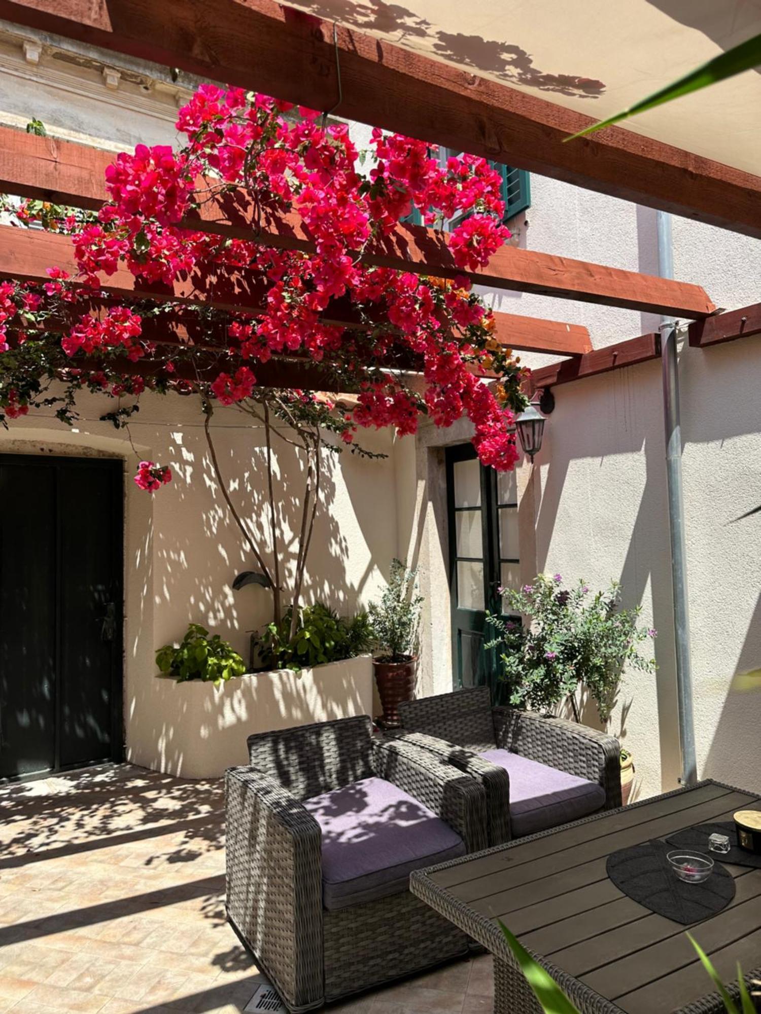 Apartment Banovac 2 杜布罗夫尼克 外观 照片